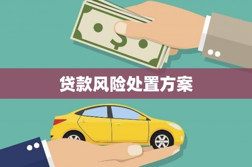 永平贷款风险处置方案