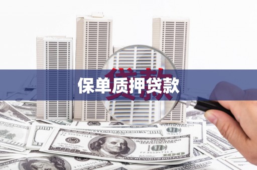 永平保单质押贷款