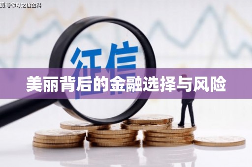 永平美丽背后的金融选择与风险