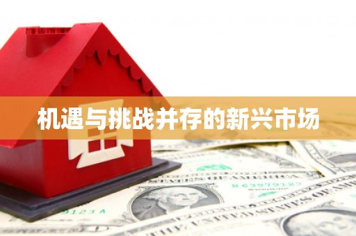 永平机遇与挑战并存的新兴市场