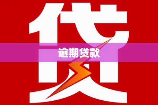 永平逾期贷款