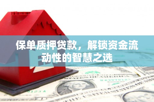 永平保单质押贷款，解锁资金流动性的智慧之选