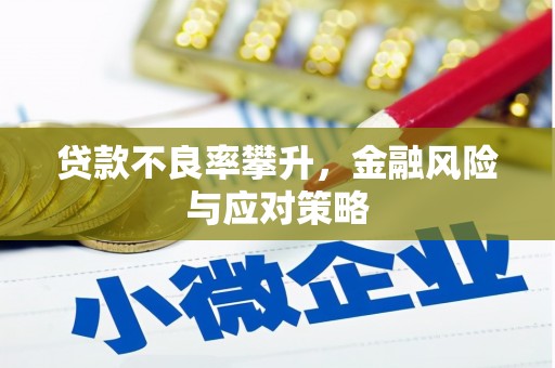 永平贷款不良率攀升，金融风险与应对策略