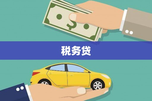 永平税务贷